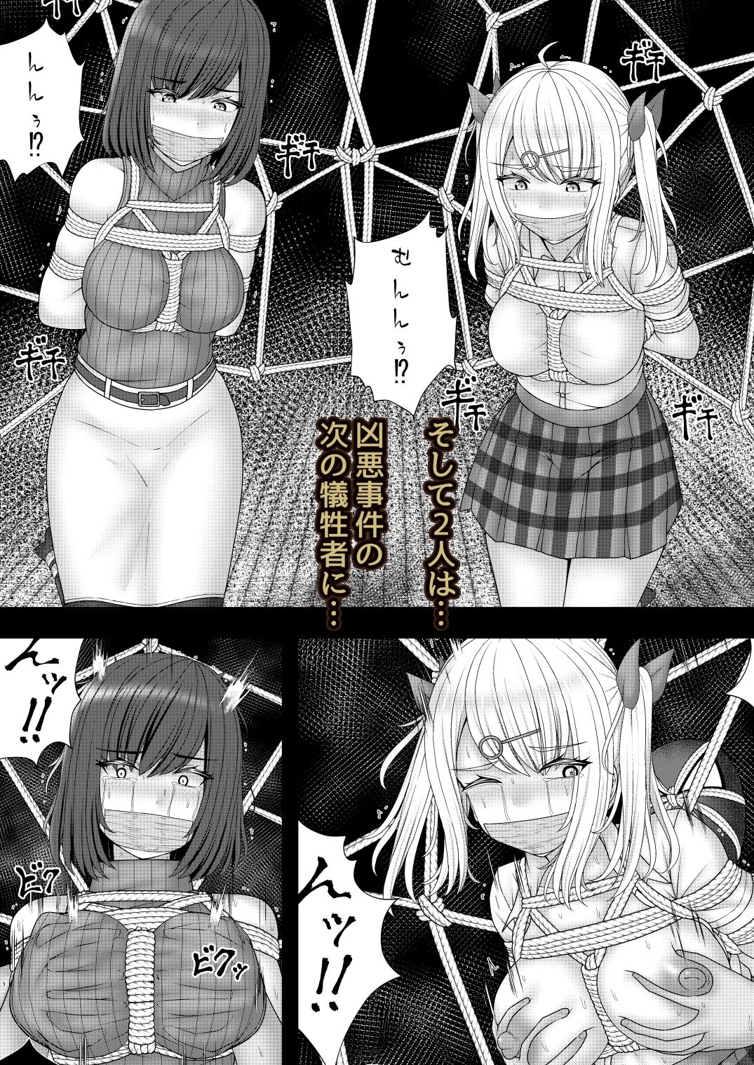 縄蜘蛛の餌 蜘蛛の巣の罠 サンプル4